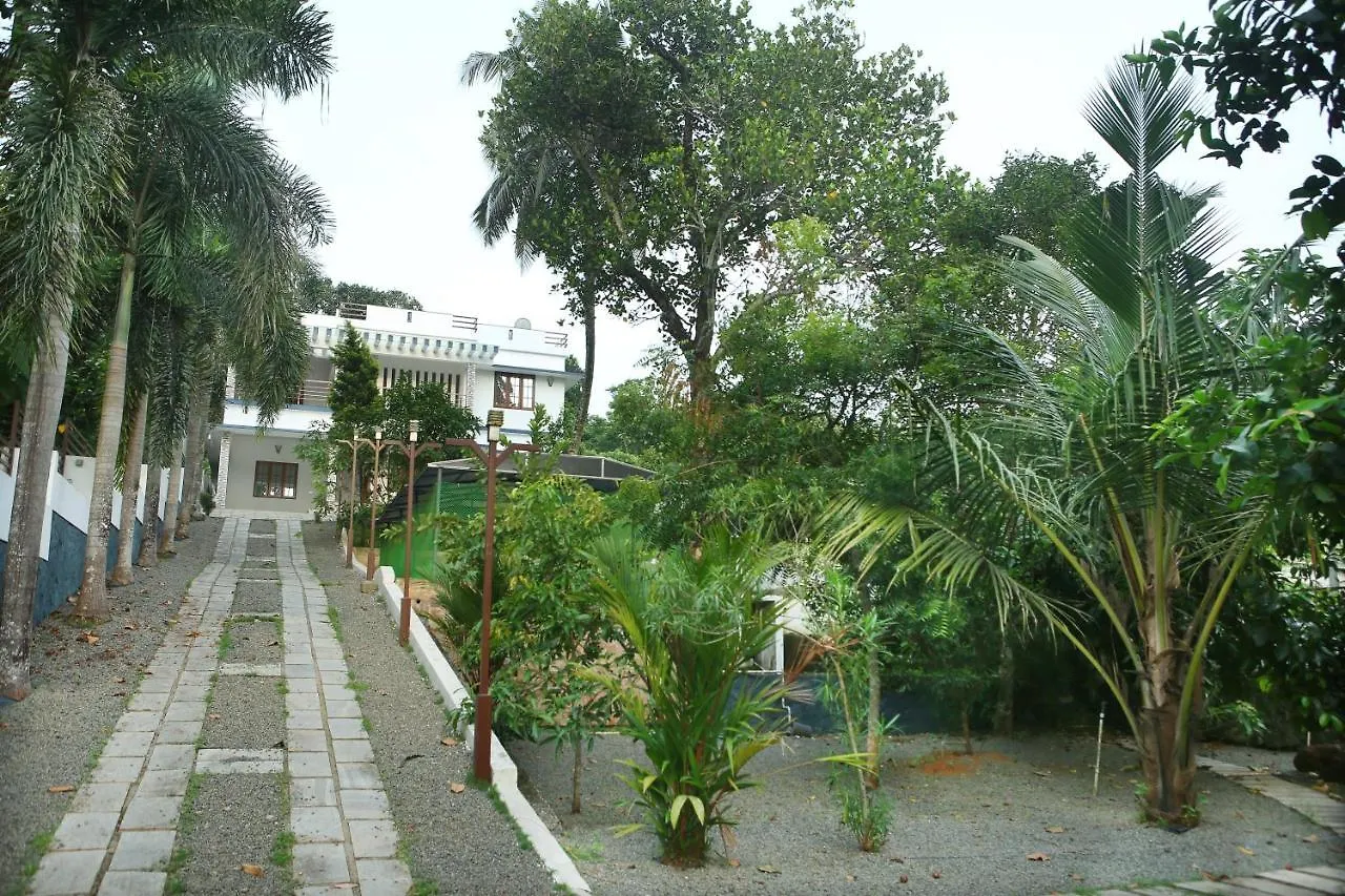 Golden Nest location